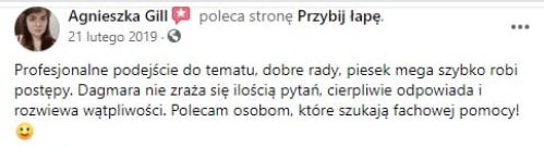 Opinia